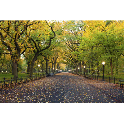 Central Park - Photographie sur toile tendue