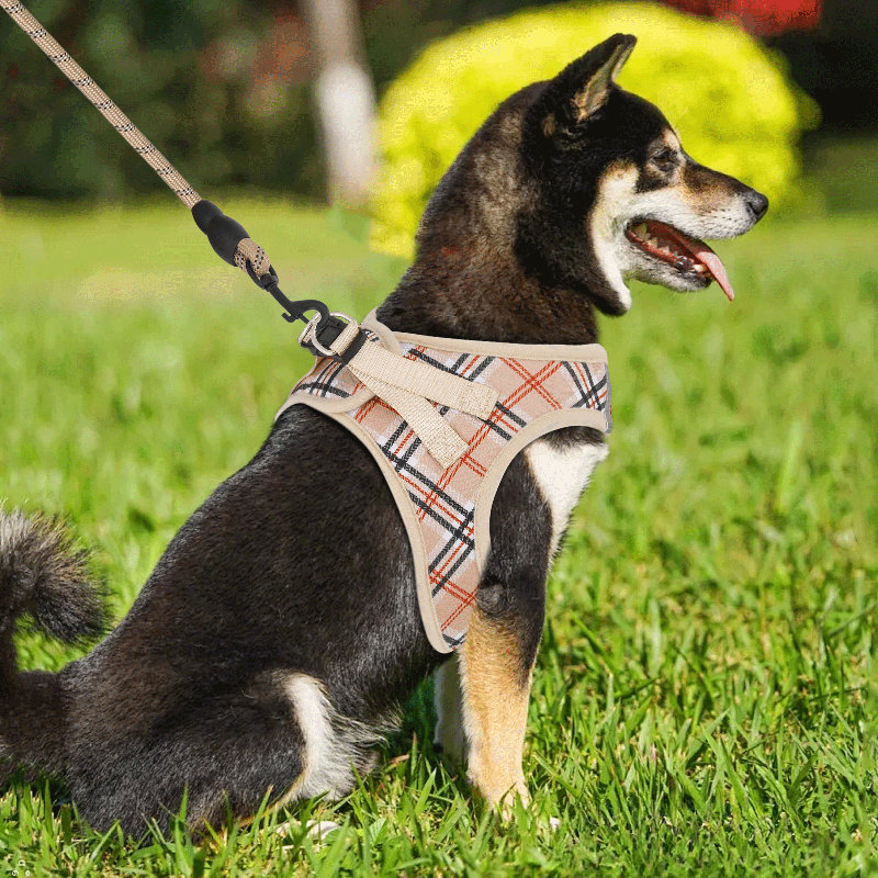 Harnais réglable pour chien avec laisse Gesemyer, Beige