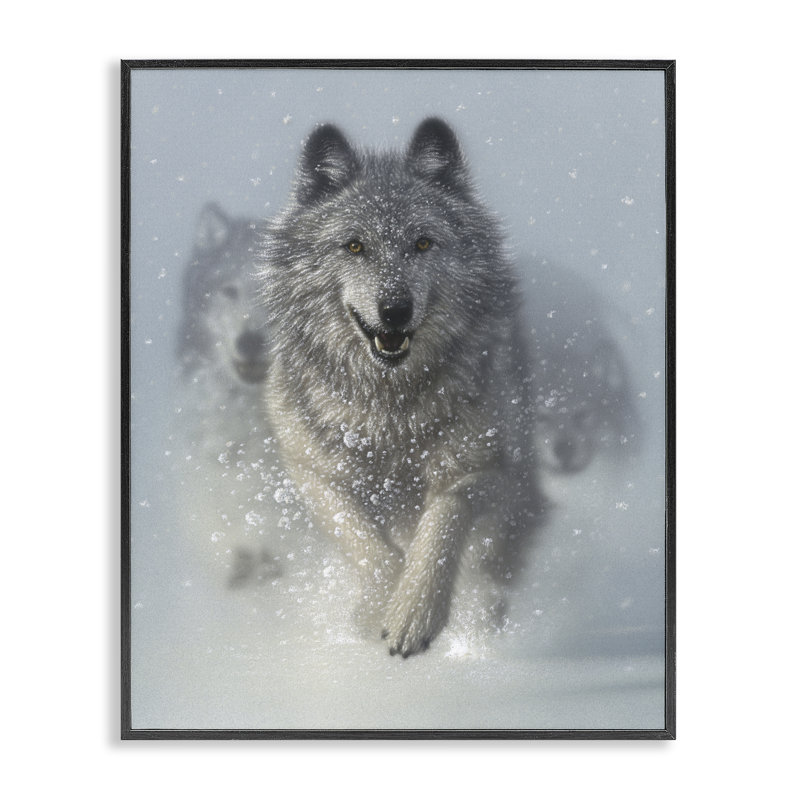«Snow Plow Courir Wolf Pack», giclée encadrée, conception par Collin Bogle, H 14 po x l 11 po, Giclée encadrée noir minuit