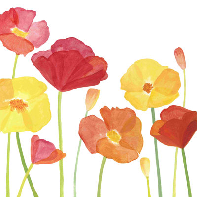 Simplement coquelicots I