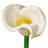 Cauldwell 26" Artificial Calla Lily Stem-1147543807