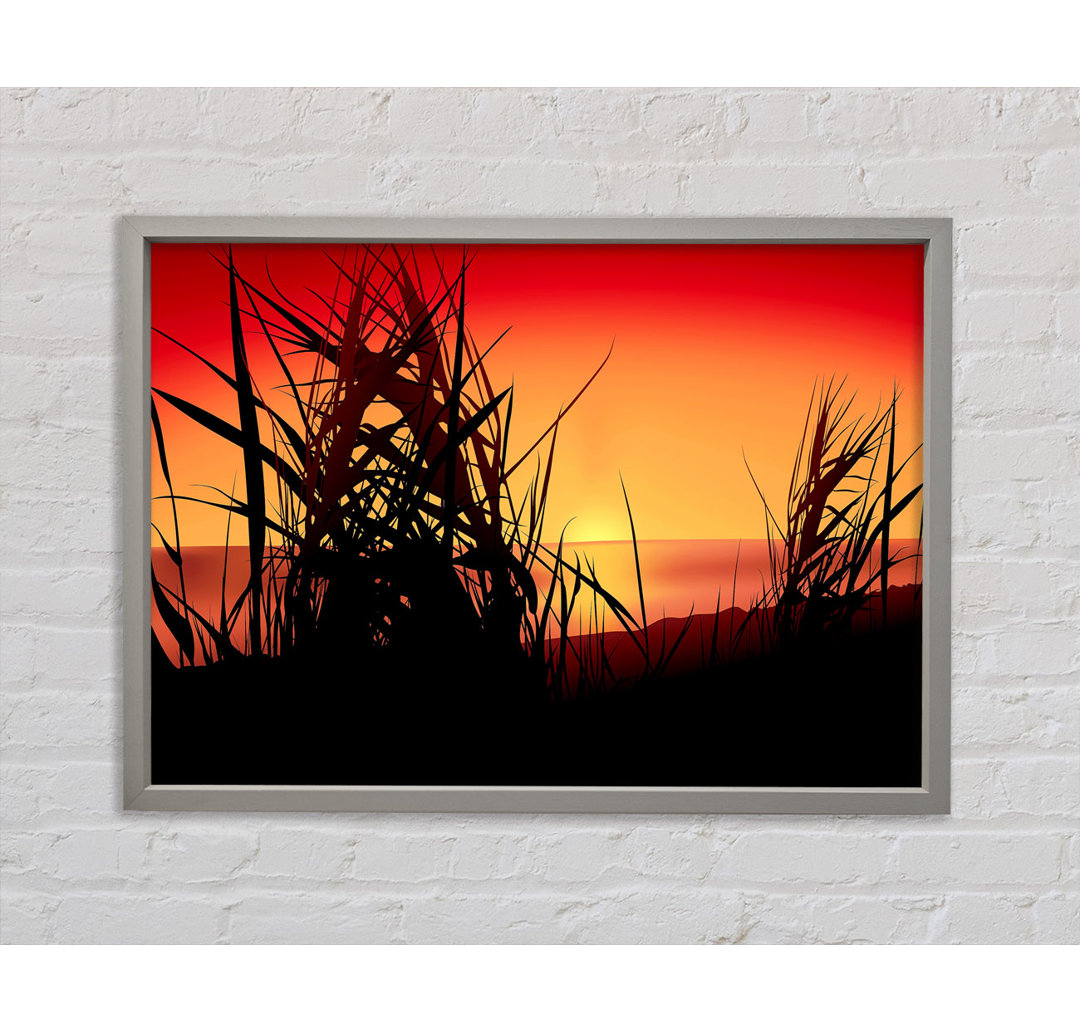 The Sunset Reeds - Einzelner Bilderrahmen Kunstdrucke auf Leinwand