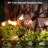 String Lights
