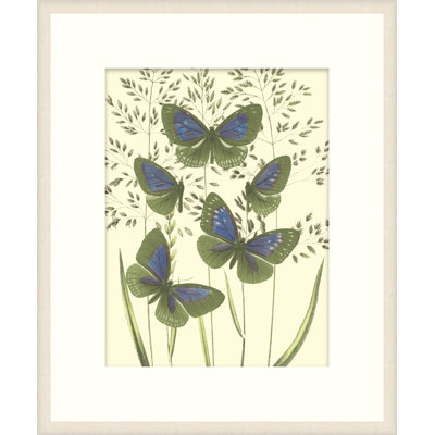 Mariposas 6 Print