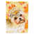 Morkie sélectionné