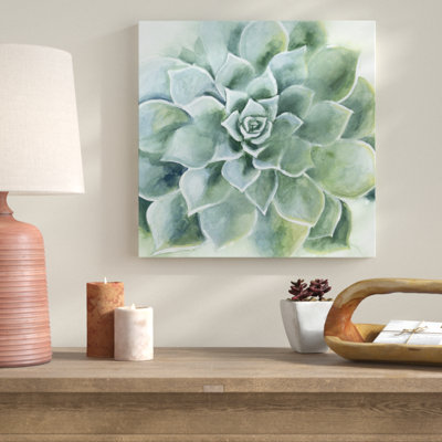 Verdant Succulent II 1 Piece Wrapped Canvas Painting