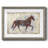 " Iron Equine II "-1706890406-1706890407