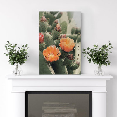 Cactus Desert " Blooming Cactus Flower Photography Floral Botanical Southwest "