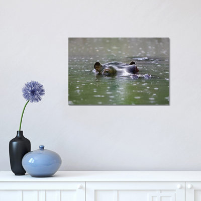 Hippo 1 Piece Wrapped Canvas Wall Art