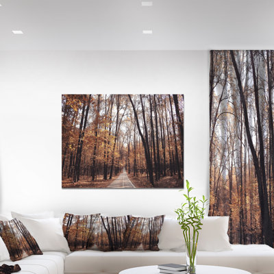 " Road In Autumn Golden Forest "