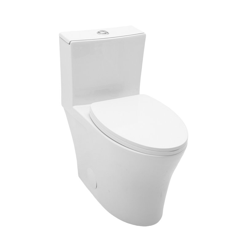 Toilette allongée une pièce à double chasse 16,5 po à surface émaillée avec siège émaillé et siège confortable (siège inclus)