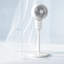 17 Stories Taleia 80cm Fan