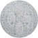 Amarr Oriental Indoor Rug