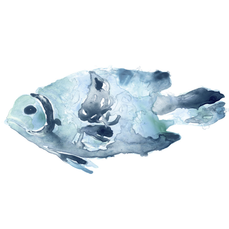 «Blue Ocean Fish II» par June Erica Vess - peinture sur toile tendue, H 32 po x l 48 po