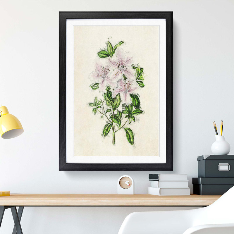 Illustration of Pink Azaleas - Picture Frame Painting Print, Black Framed, 65cm H x 48cm W x 2cm D