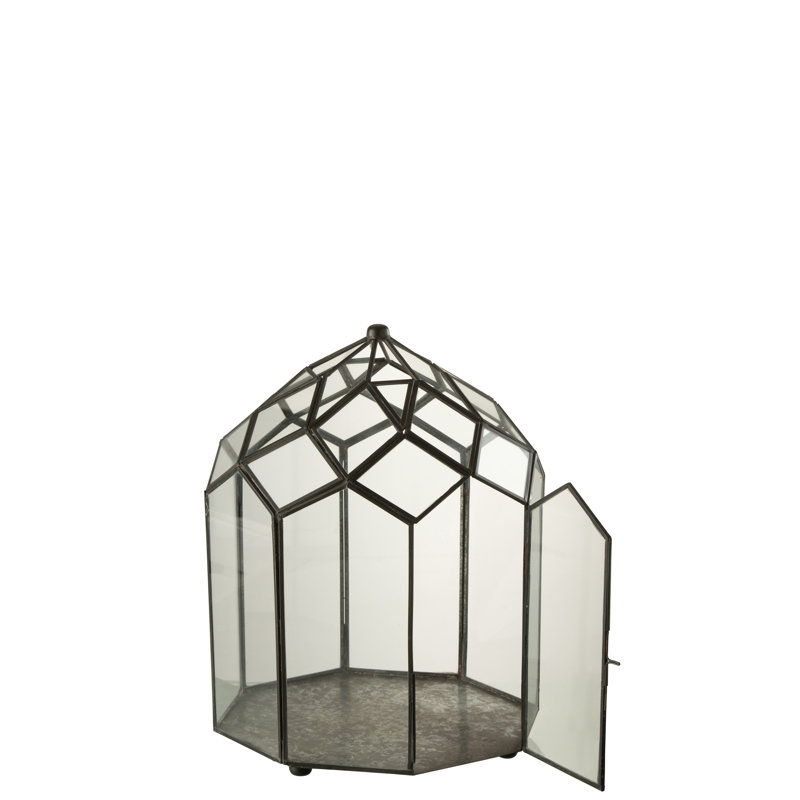 Aalexis Metal Terrarium, 38 x 25 x 25