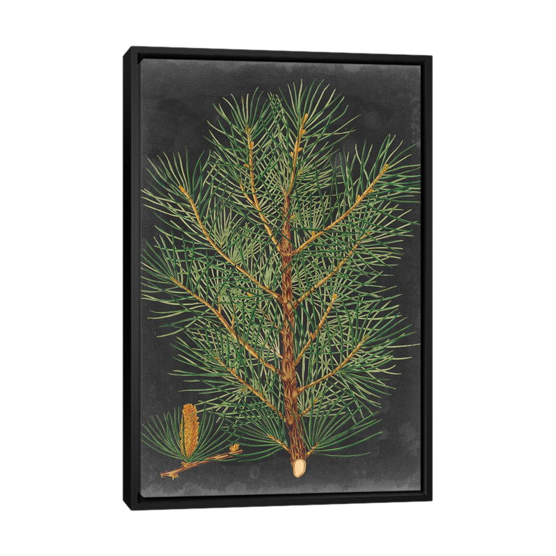 «Dramatic Pine II», impression sur toile, H 26 po x l 18 po x P 1,5 po, Toile avec cadre noir, Pas de tapis
