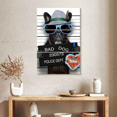 Bouledogue français Brampt Bad