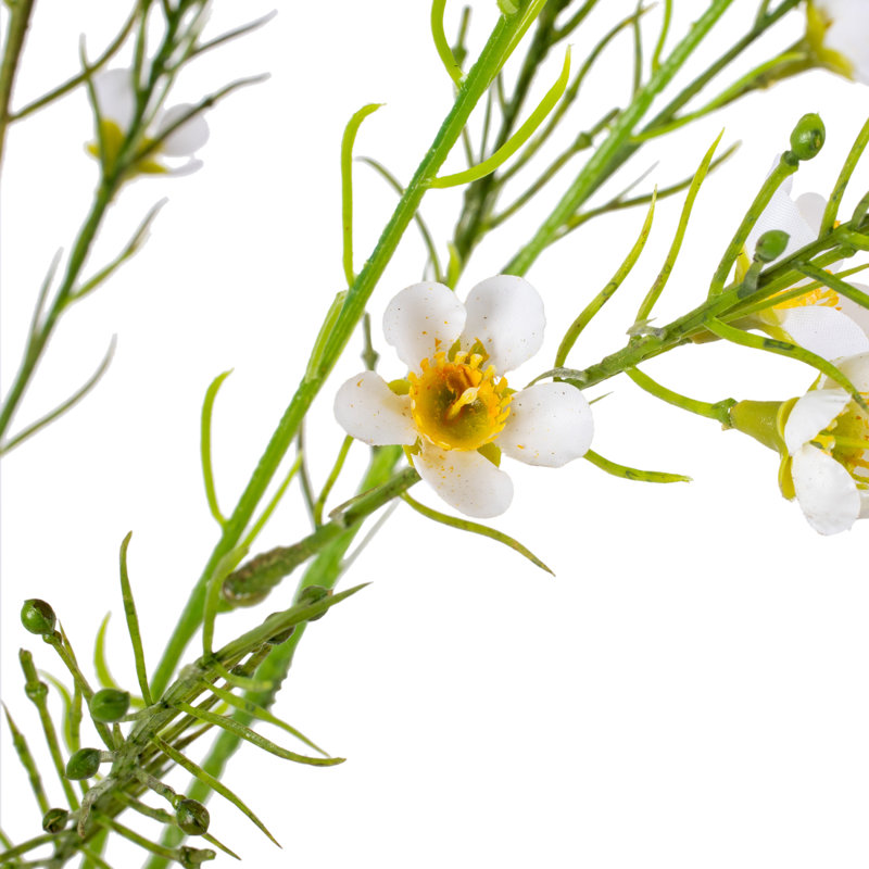 Polyethylene (PE) Baby's Breath Arrangement
