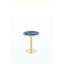 Table basse ronde de luxe moderne 23,6 po, plateau en panneau de fibres à densité moyenne à texture marbrée avec finition peinture UV, bordure en acier inoxydable, pieds en métal, table d'appoint de salon-130621718
