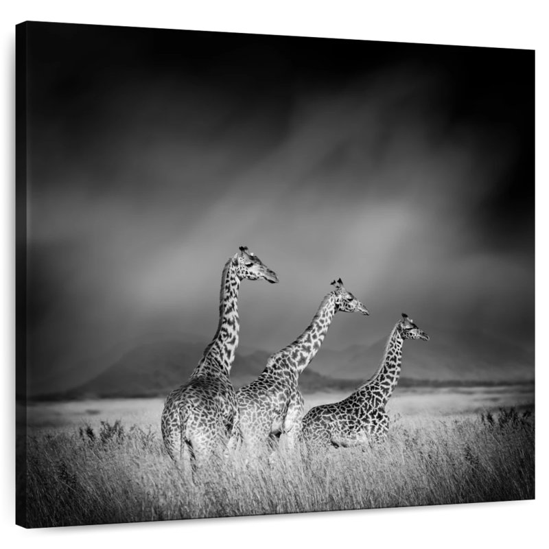 Crowle Giraffe Formation, H 39 po x l 39 po
