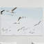 « air supported » par morgan j hartley, reproduction d’art sur toile tendue-18220994