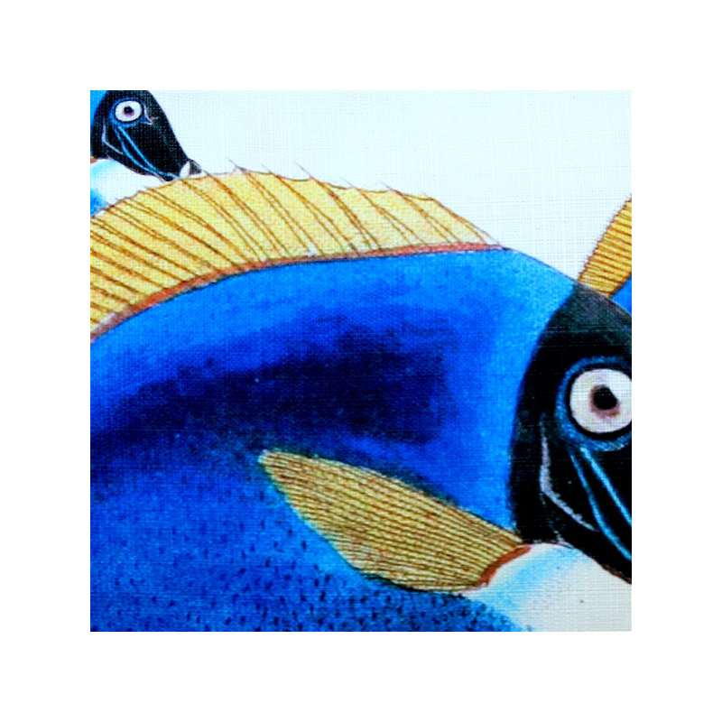 Coussin lombaire intérieur / extérieur Surgeonfish Fish