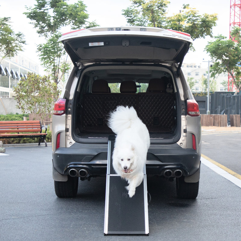 Animal pliable en aluminium avec poignée et patins antidérapants, pour chiens de différentes tailles, facile à nettoyer, stable, tapis antidérapant à rampe noire, convient à la plupart des étables