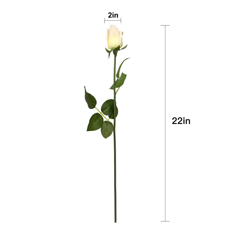 Arrangement floral de roses, Beige