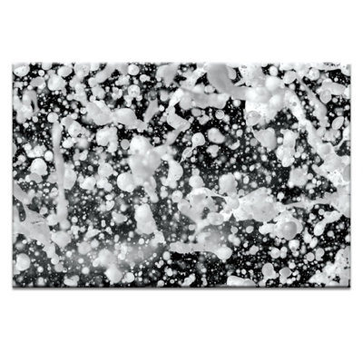 Sticks - Print on Canvas
