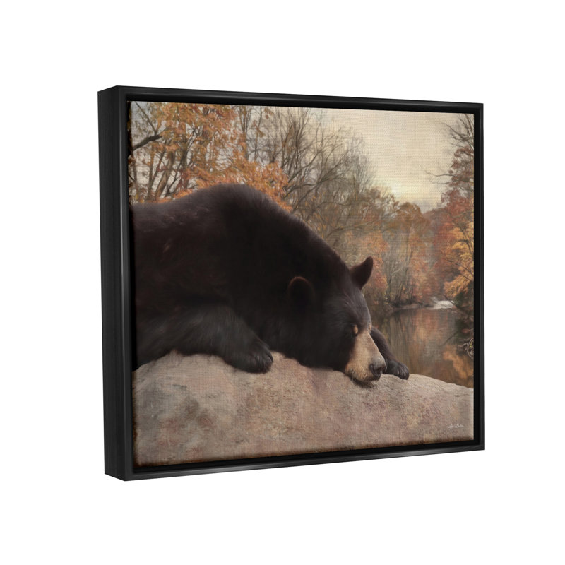 «Resting Bear Autumn Foliage Lake Floater», art mural par Lori Deiter, Cadre flottant noir de jais
