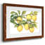 Ripe for Cueillette II - impression d'un seul cadre photo-1941780176-1941780177