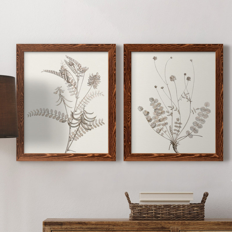 «Neutral Botanical Study VIIP», reproduction d'art encadrée - prête à être accrochée, H 24 po x l 36 po x P 1,5 po