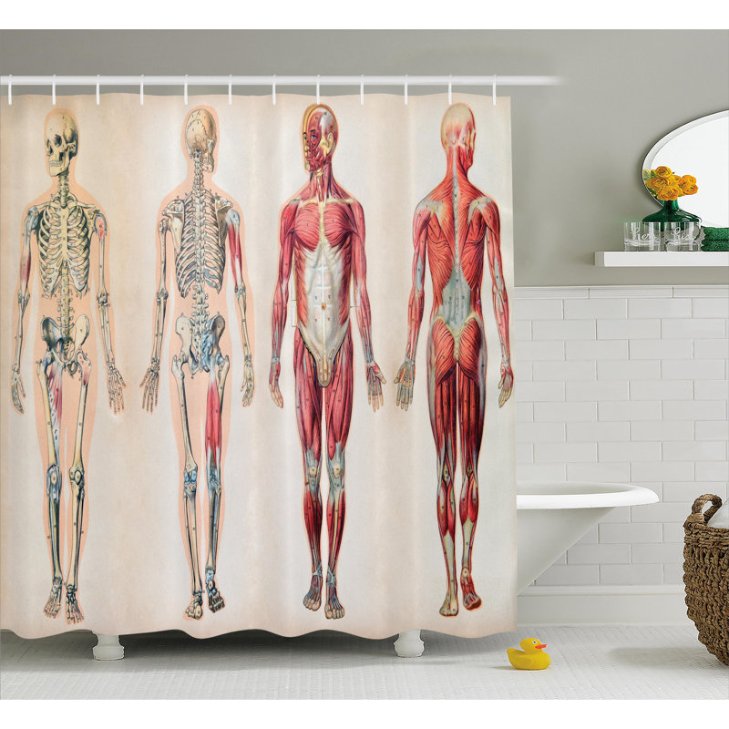 Shower Curtain with Hooks Included, 69" H x 105" W