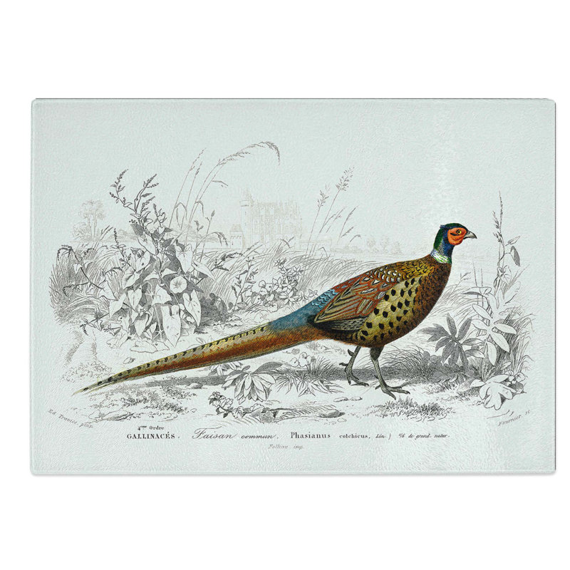 Tempered Glass Pheasant Illustration by Charles D' Orbigny Chopping Board, 39 cm W x 28.5 cm L