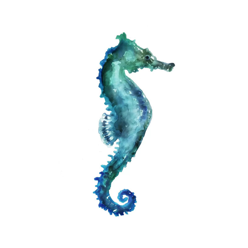 Sea Horse by Edward Selkirk - Print on Canvas, 30.48 cm H x 45.72 cm W, Wrapped Canvas