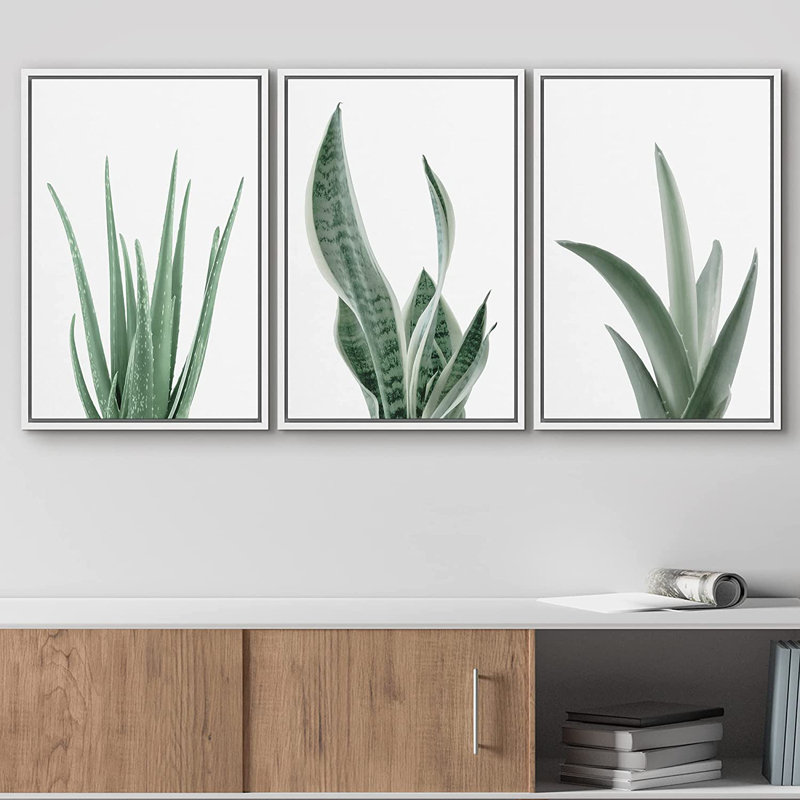 Minimal Botanical " Minimal Snake Plant Agave Succulents Nature " 3 - Pieces, White, 36" H x 72" W, Picture Framed Canvas