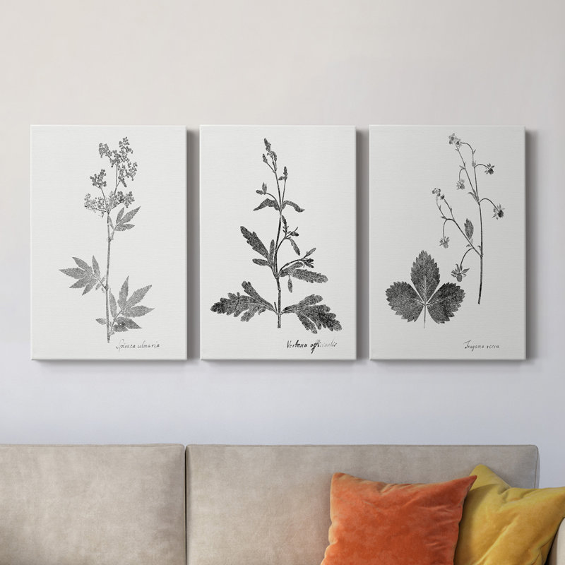 «Botanical Imprint II», ensemble de 3 impressions sur toile tendue, H 36 po x l 72 po x P 1 po