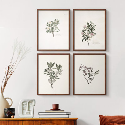 «Vintage Floral Print», impression encadrée CCI - ensemble de 4