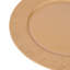 Other Solid Colour Charger-119207145