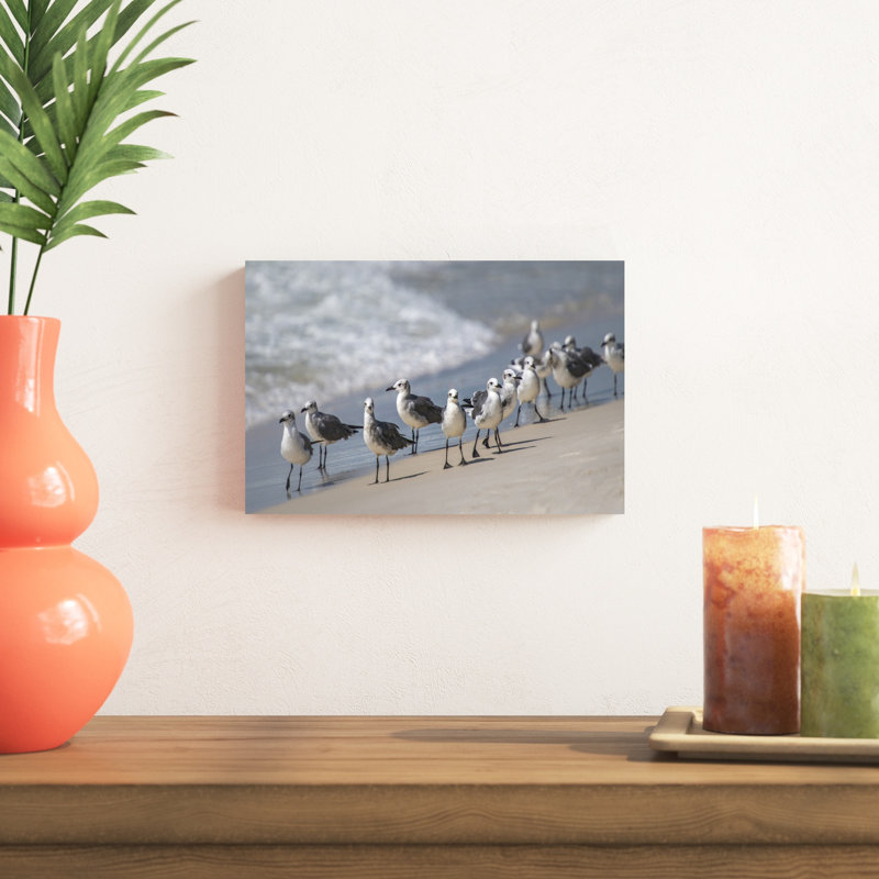 Quoi de neuf Goélands, H 8 po x l 12 po
