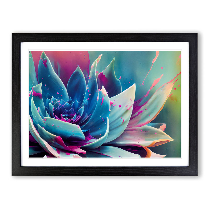 Succulent Plant Paint Splash Abstract - Single Picture Frame Print, Black, 46cm H x 64cm W x 2cm D