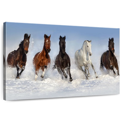 Crowle Horses dans la neige