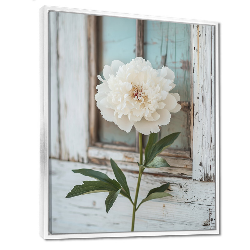 Photo pivoines par la grange laitière II - pivoines, art mural, H 20 po x l 12 po, Reproduction avec cadre flottant, Blanc