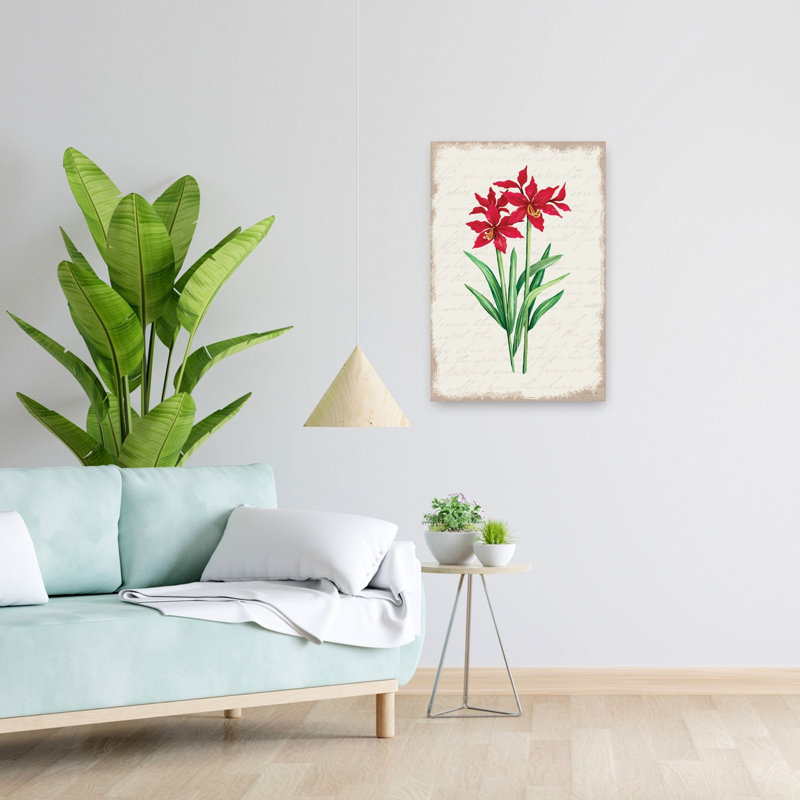 Amaryllis rouge, botanique et art contemporain, H 24 po x l 16 po