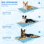 Pet Bed