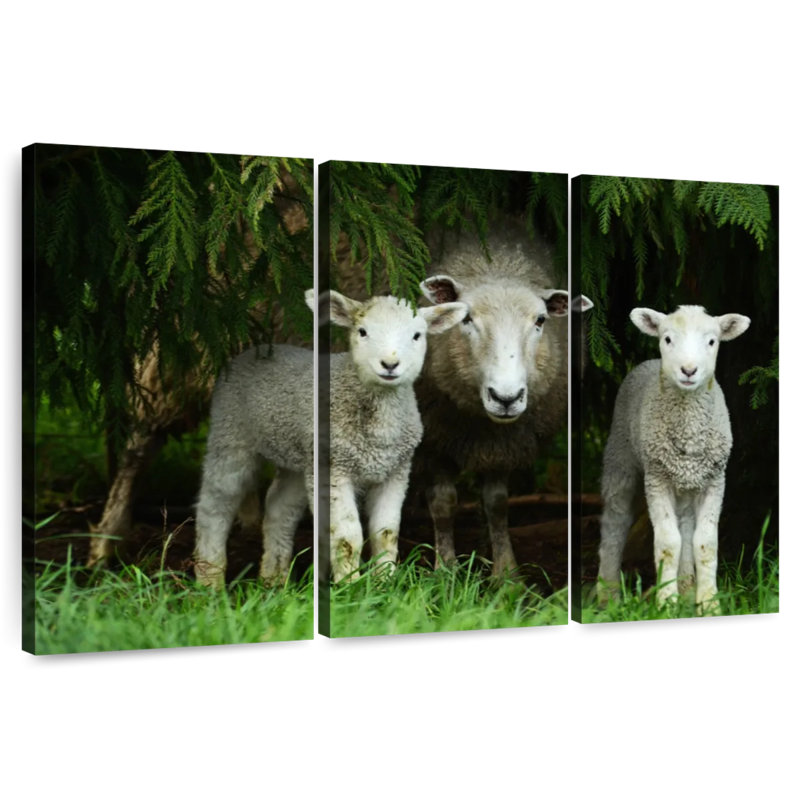 Brampt Sheep Family, 24" H x 38" W