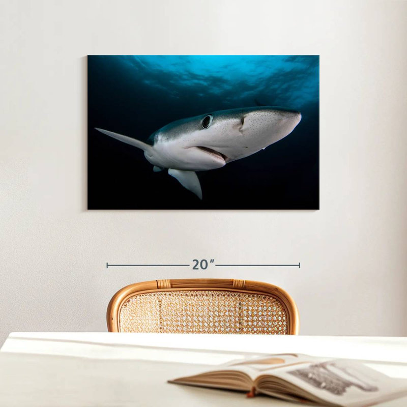 Brampt Underwater Blue Shark, 16" H x 24" W