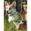 Bol pour animaux pliable-99444144