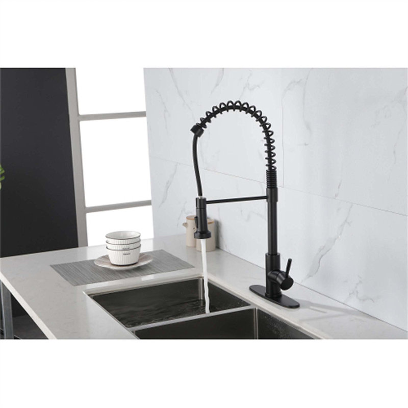 Red Cloud Pull Down Kitchen Faucet